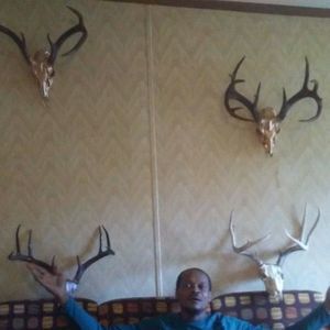 Meet your Posher, Christopher